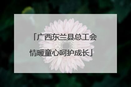 广西东兰县总工会情暖童心呵护成长