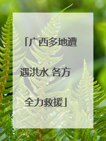 广西多地遭遇洪水 各方全力救援