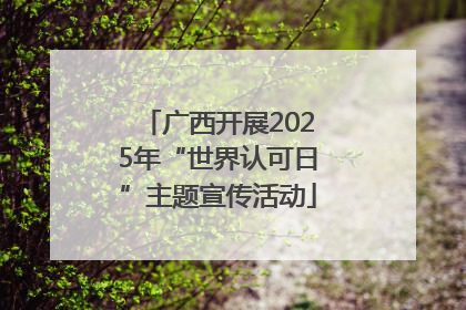 广西开展2025年“世界认可日”主题宣传活动