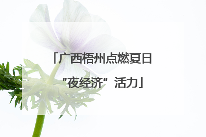 广西梧州点燃夏日“夜经济”活力
