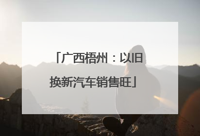 广西梧州：以旧换新汽车销售旺