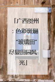 广西贺州：色彩斑斓“玻璃田”尽显田园风光