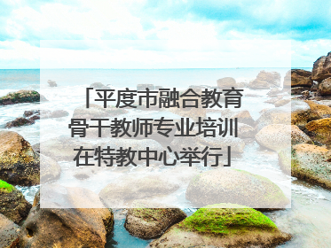 平度市融合教育骨干教师专业培训在特教中心举行