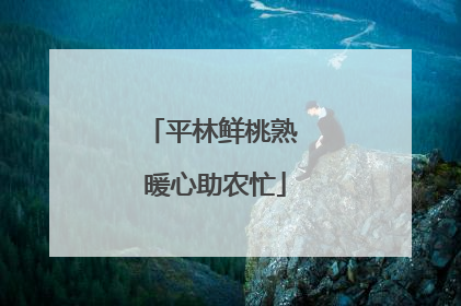 平林鲜桃熟 暖心助农忙