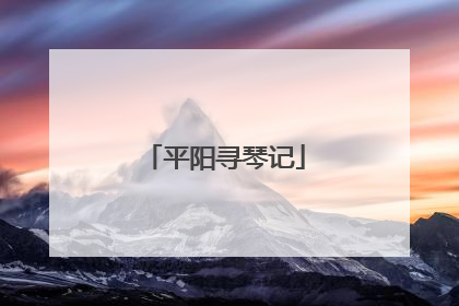 平阳寻琴记