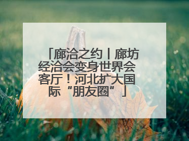 廊洽之约丨廊坊经洽会变身世界会客厅！河北扩大国际“朋友圈”