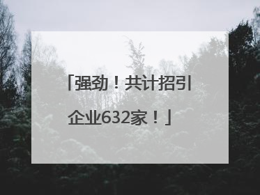强劲！共计招引企业632家！