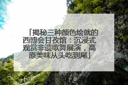 揭秘三种颜色绘就的西博会甘孜馆：沉浸式观赏非遗歌舞展演，高原美味从头吃到尾
