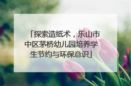 探索造纸术，乐山市中区茅桥幼儿园培养学生节约与环保意识