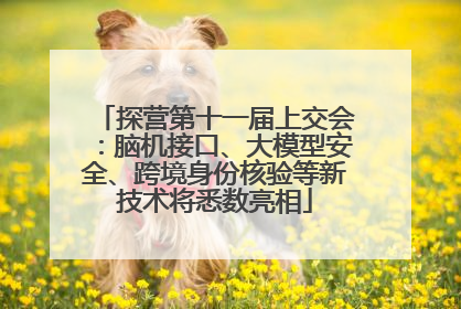 探营第十一届上交会：脑机接口、大模型安全、跨境身份核验等新技术将悉数亮相