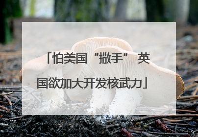 怕美国“撒手” 英国欲加大开发核武力