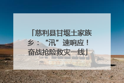 慈利县甘堰土家族乡：“汛”速响应！奋战抢险救灾一线