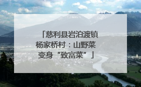 慈利县岩泊渡镇杨家桥村：山野菜变身“致富菜”