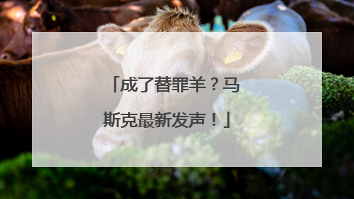 成了替罪羊？马斯克最新发声！