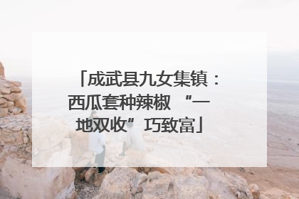 成武县九女集镇：西瓜套种辣椒 “一地双收”巧致富