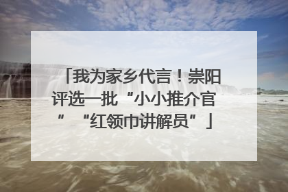 我为家乡代言！崇阳评选一批“小小推介官”“红领巾讲解员”