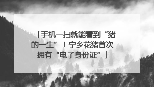 手机一扫就能看到“猪的一生”！宁乡花猪首次拥有“电子身份证”