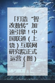 打造“智改数转”加速引擎！中国联通（上饶）互联网研究院正式运营（图）