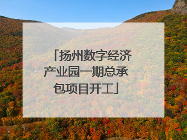 扬州数字经济产业园一期总承包项目开工
