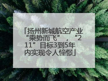 扬州新城航空产业“乘势而飞”，“211”目标3到5年内实现令人憧憬