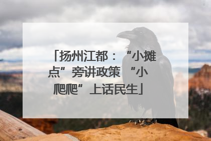 扬州江都：“小摊点”旁讲政策 “小爬爬”上话民生