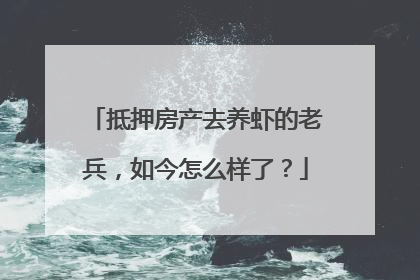 抵押房产去养虾的老兵，如今怎么样了？
