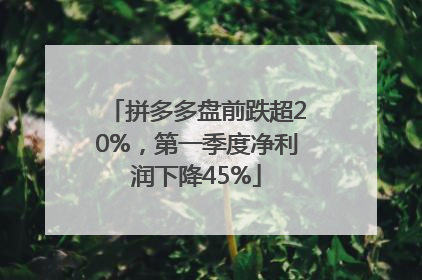 拼多多盘前跌超20%，第一季度净利润下降45%