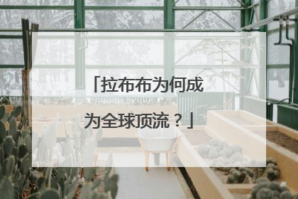 拉布布为何成为全球顶流？