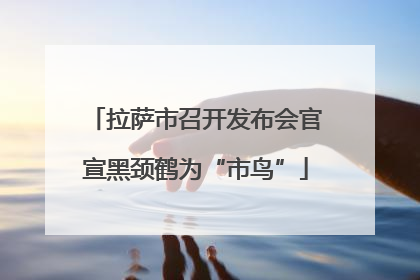 拉萨市召开发布会官宣黑颈鹤为“市鸟”