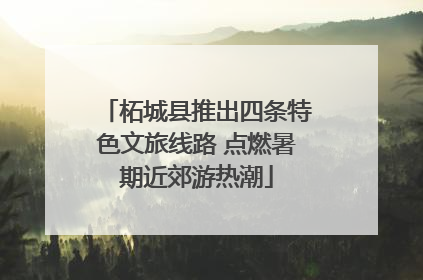 柘城县推出四条特色文旅线路 点燃暑期近郊游热潮