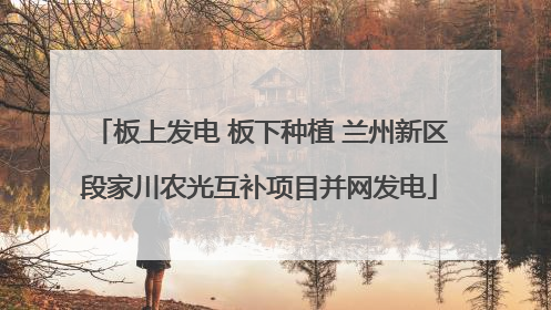 板上发电 板下种植 兰州新区段家川农光互补项目并网发电