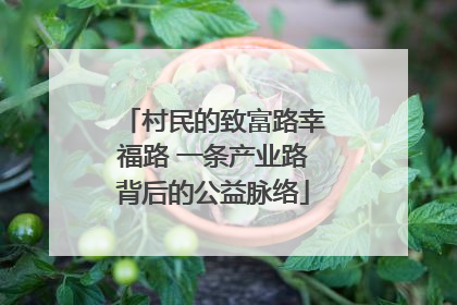 村民的致富路幸福路 一条产业路背后的公益脉络
