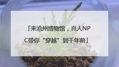 来沧州博物馆，真人NPC带你“穿越”到千年前