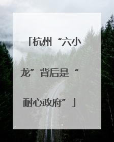 杭州“六小龙”背后是“耐心政府”