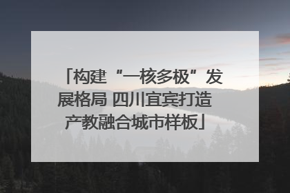 构建“一核多极”发展格局 四川宜宾打造产教融合城市样板