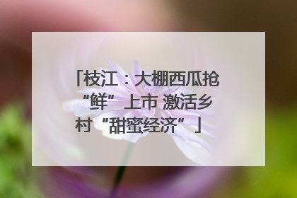 枝江：大棚西瓜抢“鲜”上市 激活乡村“甜蜜经济”