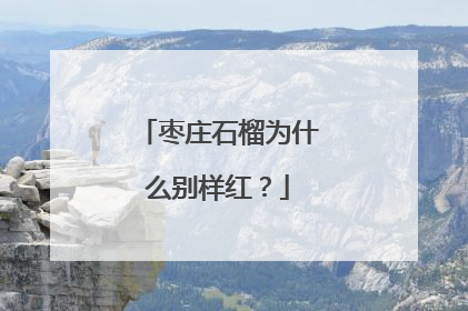 枣庄石榴为什么别样红？
