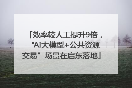 效率较人工提升9倍，“AI大模型+公共资源交易”场景在启东落地