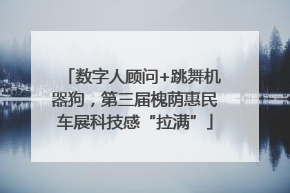 数字人顾问+跳舞机器狗，第三届槐荫惠民车展科技感“拉满”
