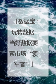 数据宝：玩转数据 当好数据要素市场“领军者”
