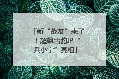 新“战友”来了！超飒雪豹IP“兵小宁”亮相