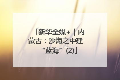新华全媒+｜内蒙古：沙海之中建“蓝海”(2)