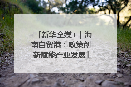 新华全媒+｜海南自贸港：政策创新赋能产业发展