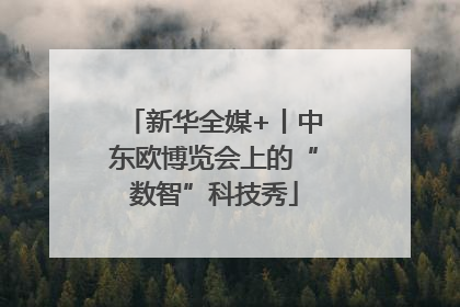 新华全媒+丨中东欧博览会上的“数智”科技秀