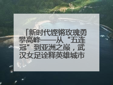 新时代铿锵玫瑰勇攀高峰——从“五连冠”到亚洲之巅，武汉女足诠释英雄城市精神特质