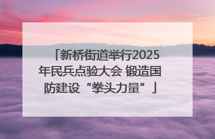 新桥街道举行2025年民兵点验大会 锻造国防建设“拳头力量”