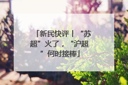 新民快评丨“苏超”火了，“沪超”何时接棒