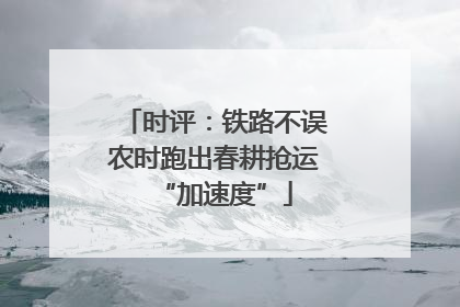 时评：铁路不误农时跑出春耕抢运“加速度”