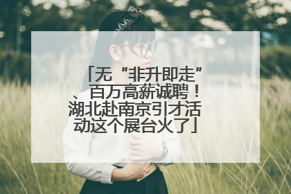 无“非升即走”、百万高薪诚聘！湖北赴南京引才活动这个展台火了