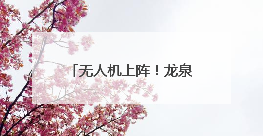 无人机上阵！龙泉“飞防”作业助力松材线虫病防治